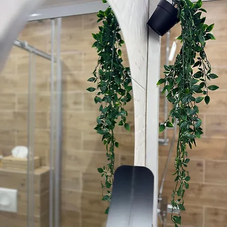 Francita- Relax & Recharge *