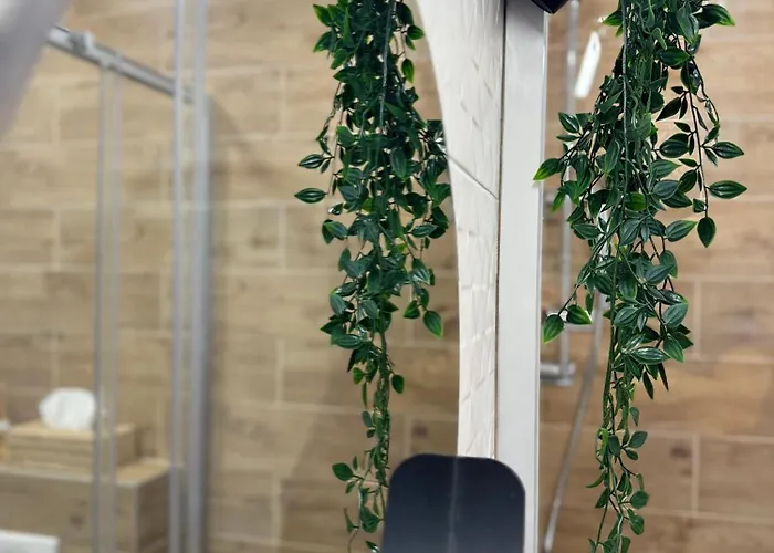 Francita- Relax & Recharge *